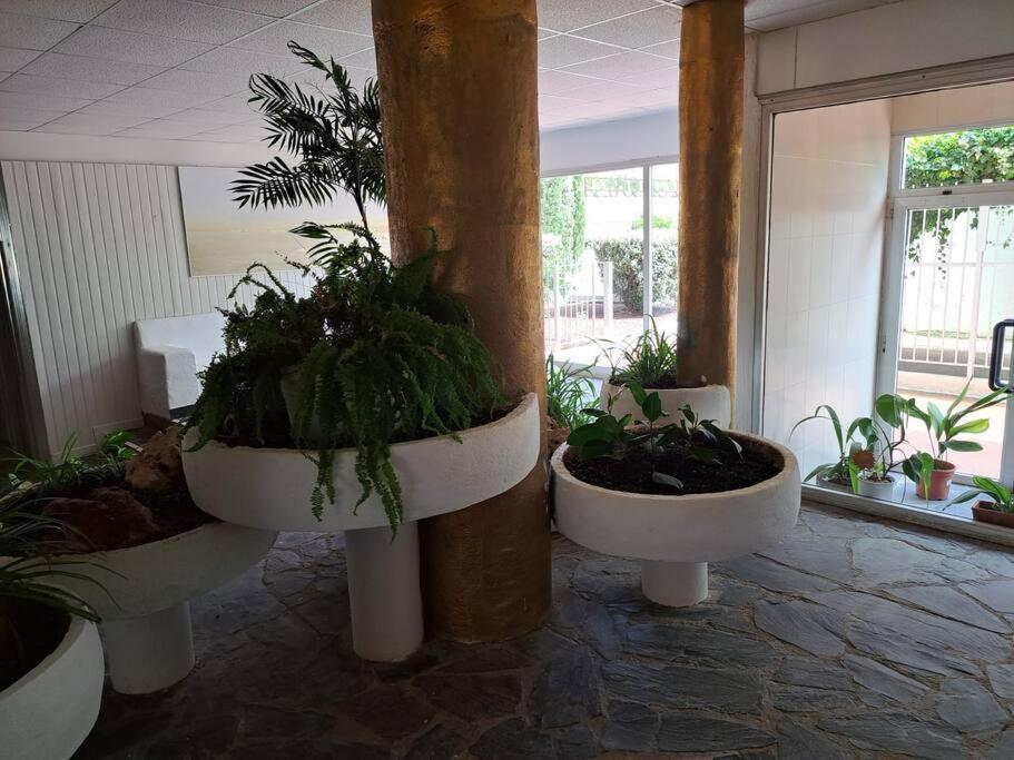 Apartamento Center Vistas Mar, Acceso Directo Playa Y Piscina *